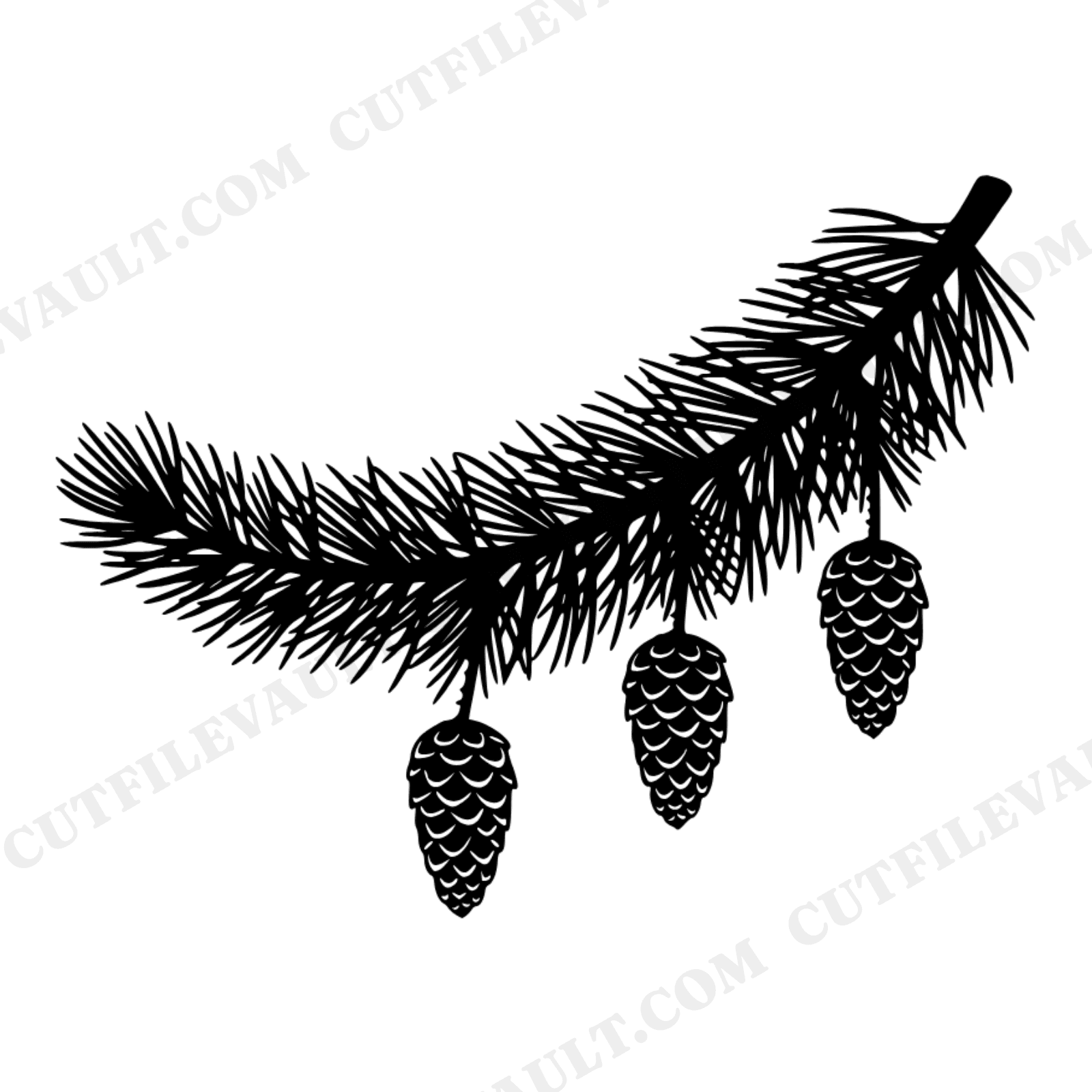 Celestial Evergreen Branch SVG PNG, Pinecone Silhouette Cut File, Mystical Winter Decor Design, view 1