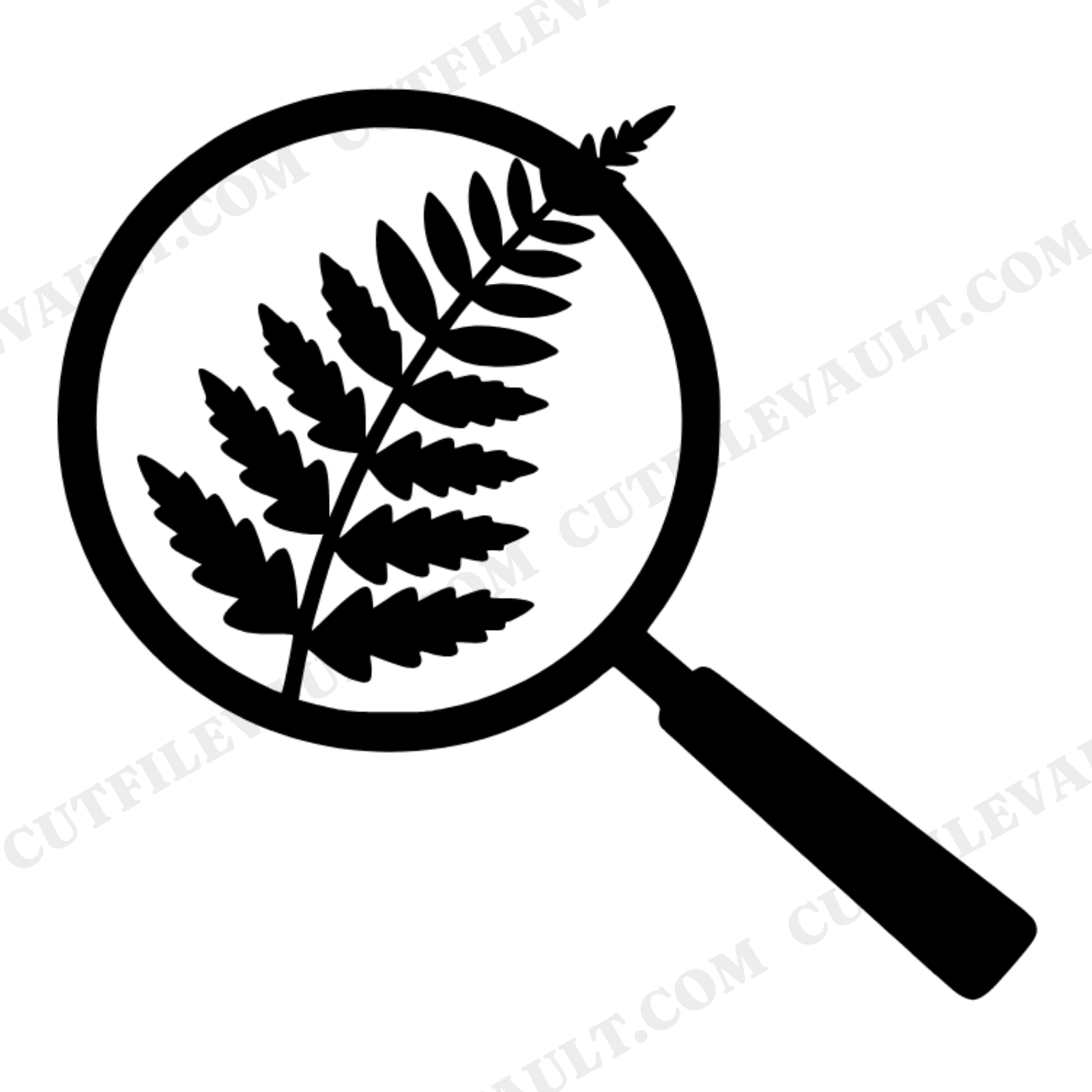 Back to School Magnifying Glass Fern SVG PNG, Botanical Discovery Cut File, Science Curiosity Design, view 1
