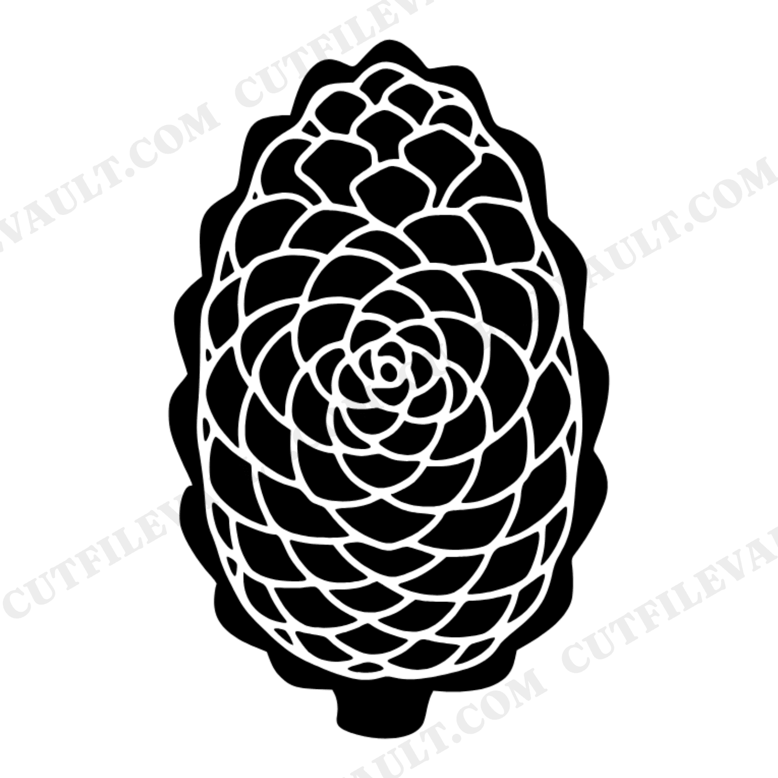 Botanical Pine Cone Cross Section SVG PNG, Vintage Christmas Decor Cut File, Farmhouse Holiday Art, view 1