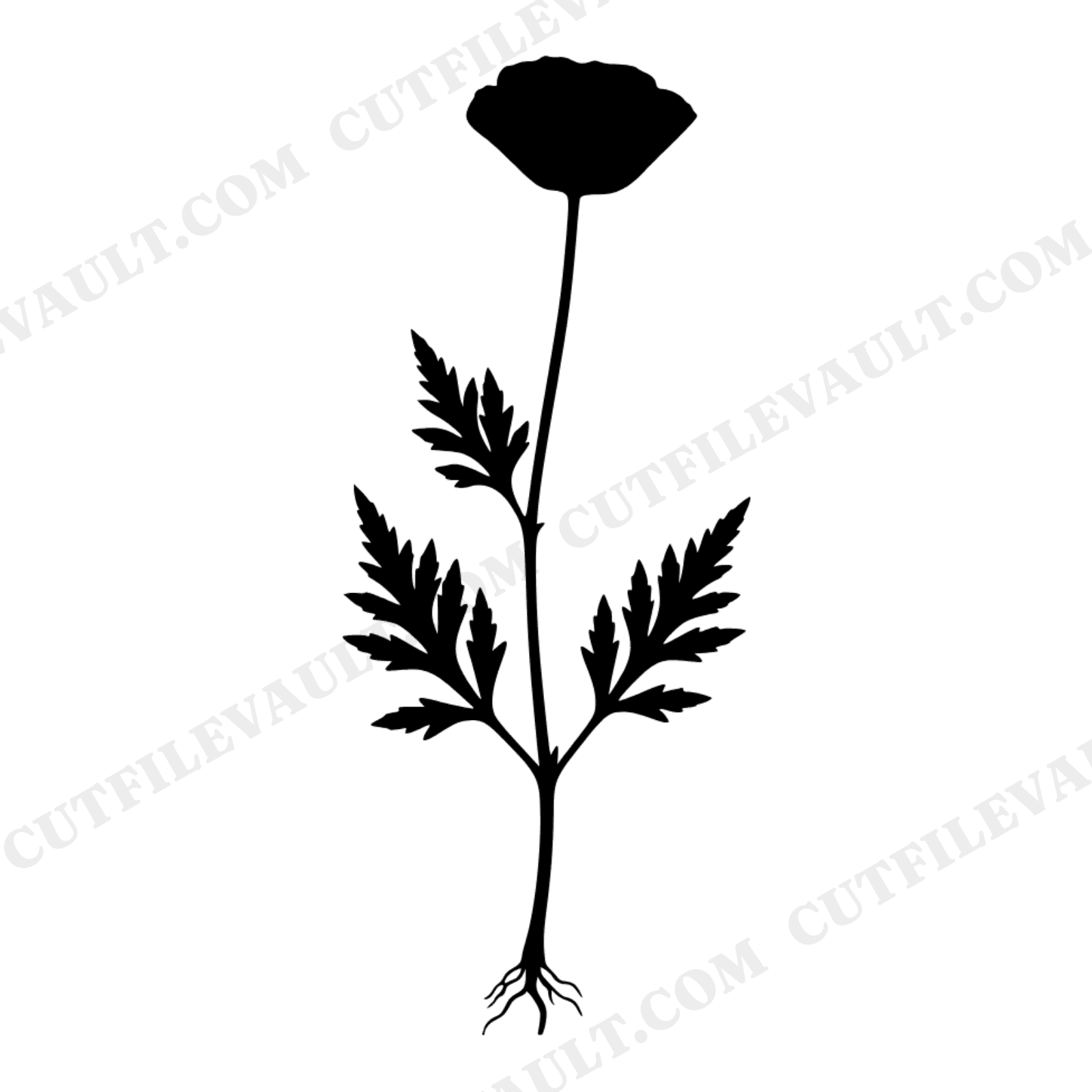 Botanical Poppy Herbarium SVG PNG Memorial Day Specimen Cut File Vintage Flower Stem Roots Leaves, view 1
