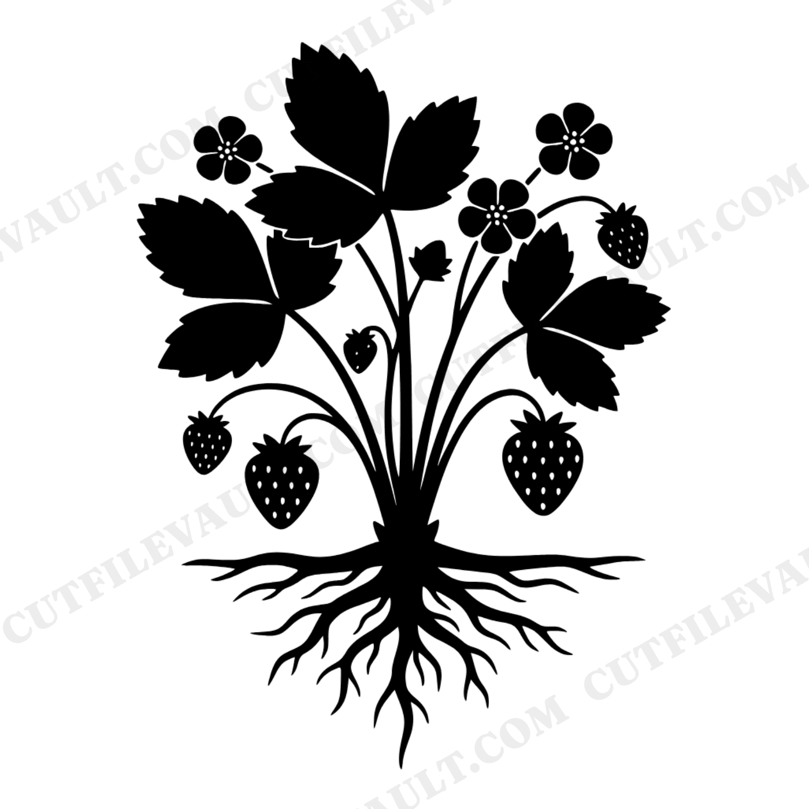 Botanical Strawberry Plant Lifecycle Chart SVG PNG Cut File Scientific Illustration Herbarium, view 1