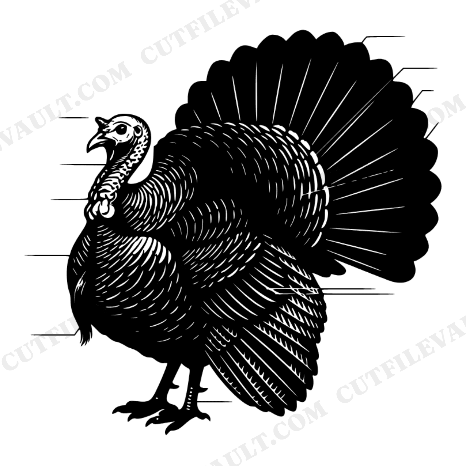Botanical Turkey SVG PNG, Vintage Herbarium Specimen, Thanksgiving Turkey Cut File, Autumn Harvest Decor, view 1