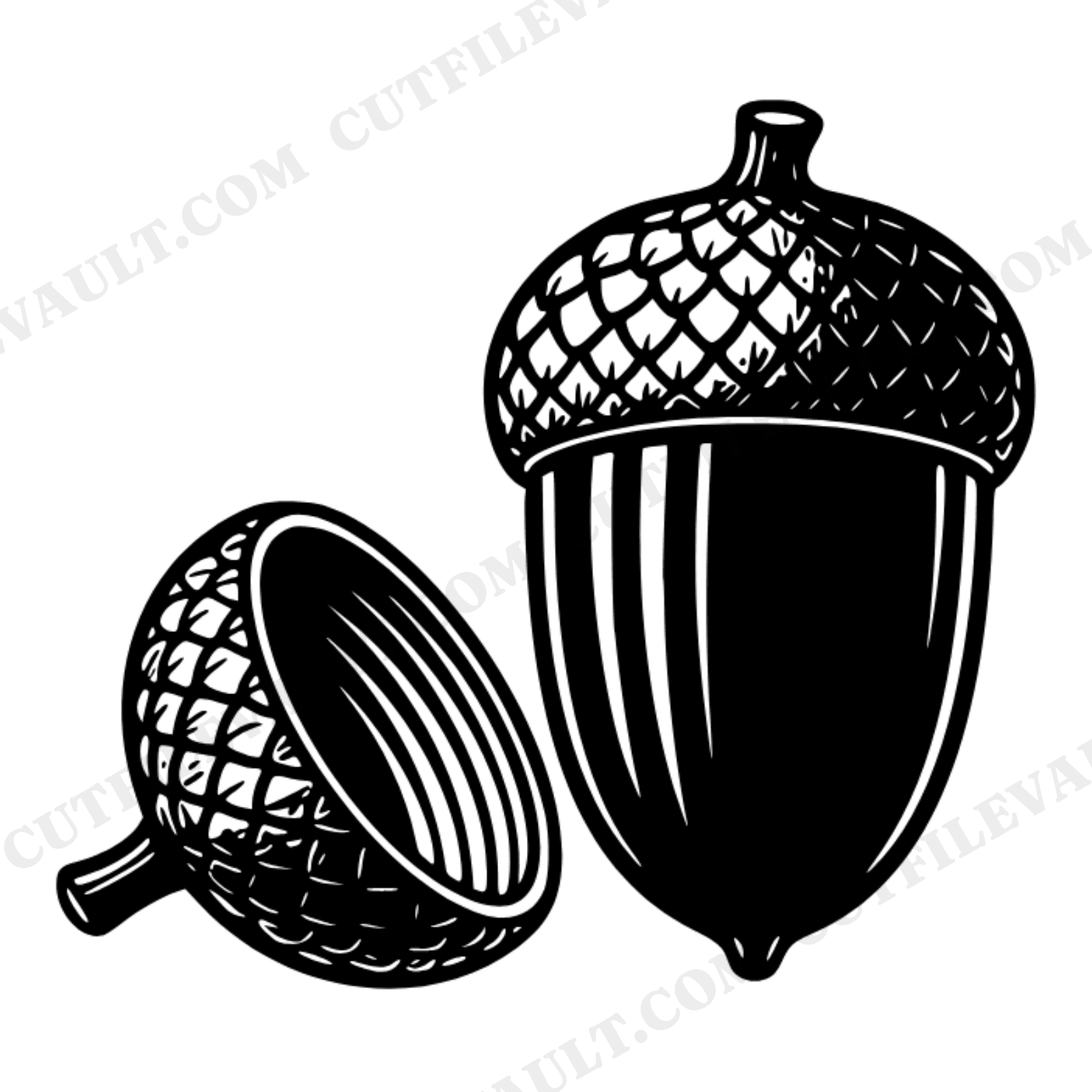 First Day of Fall Acorn SVG PNG, Vintage Botanical Autumn Acorn with Cap Cut File for Cricut, view 1