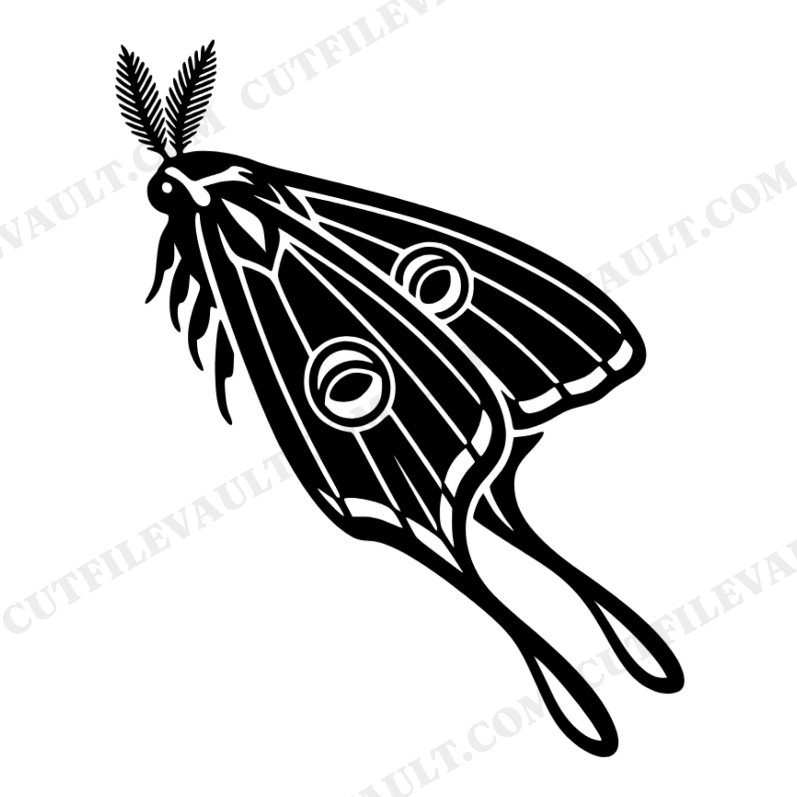 Luna Moth SVG PNG Art Deco Left Profile Specimen Cut File Geometric Insect Vintage Scientific, view 1