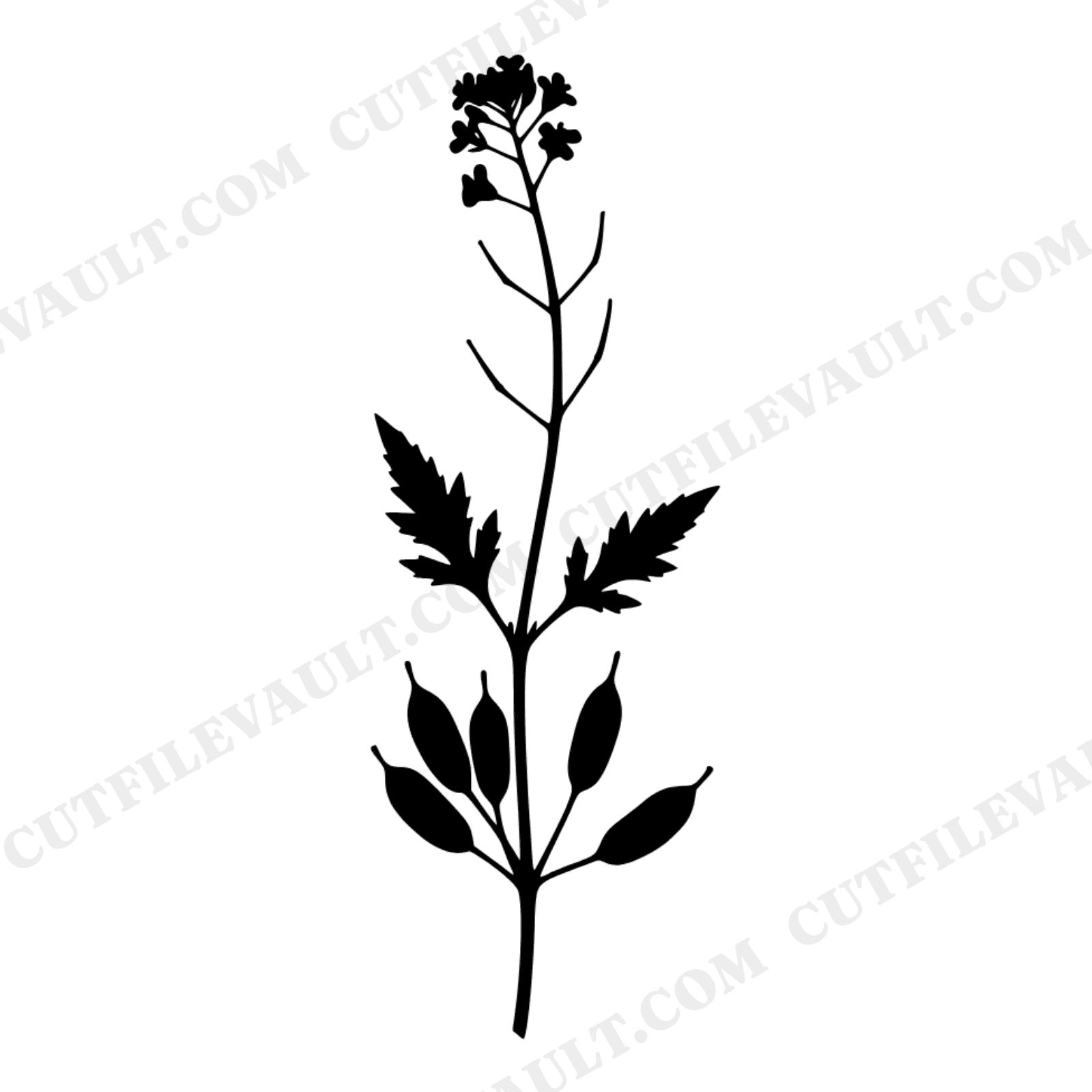 Mustard Botanical SVG PNG, Vintage Herbarium Specimen Cut File, Farmhouse Kitchen Wall Art Design, view 1