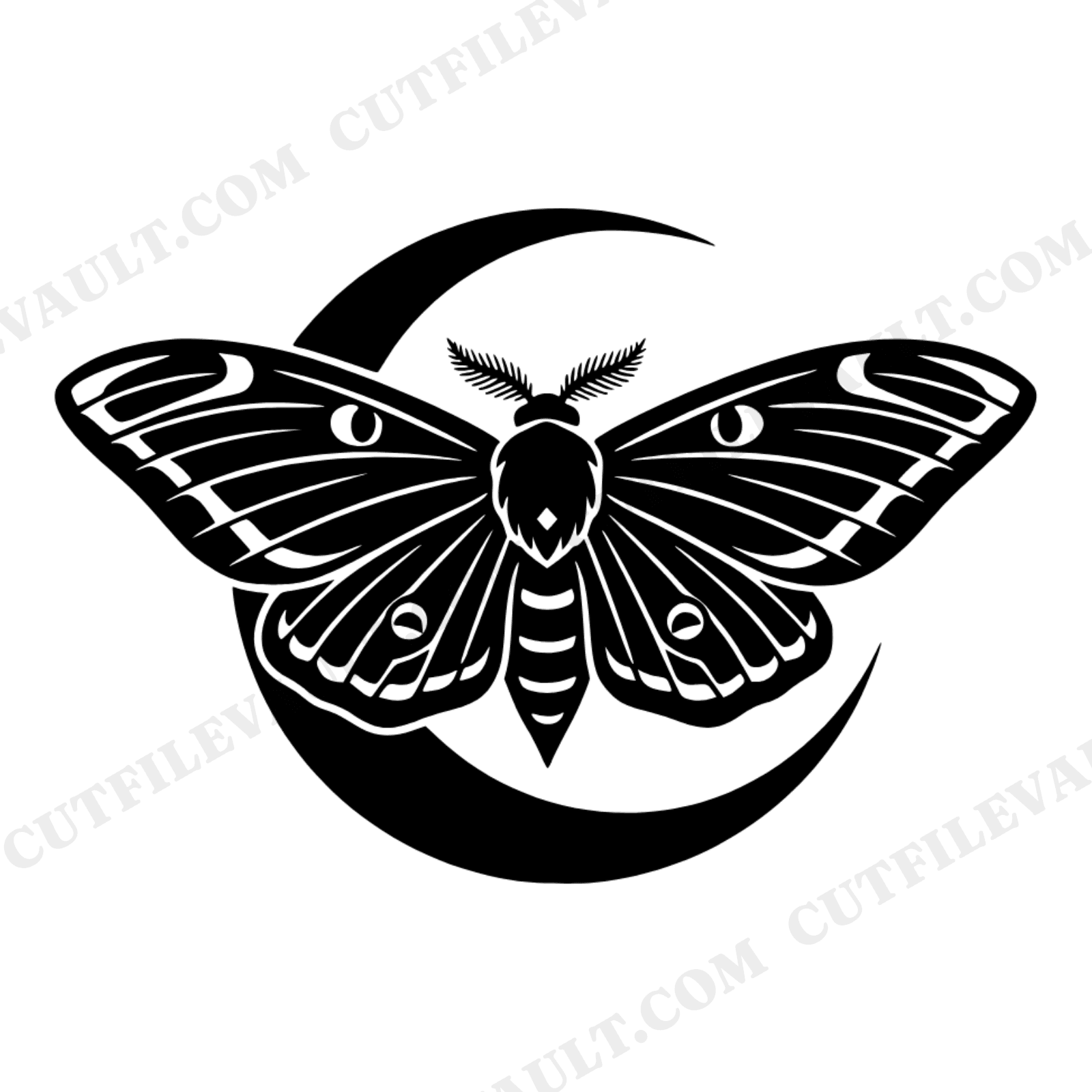 Mystical Moth on Crescent Moon SVG PNG Summer Solstice Celestial Cut File Vintage Botanical, view 1