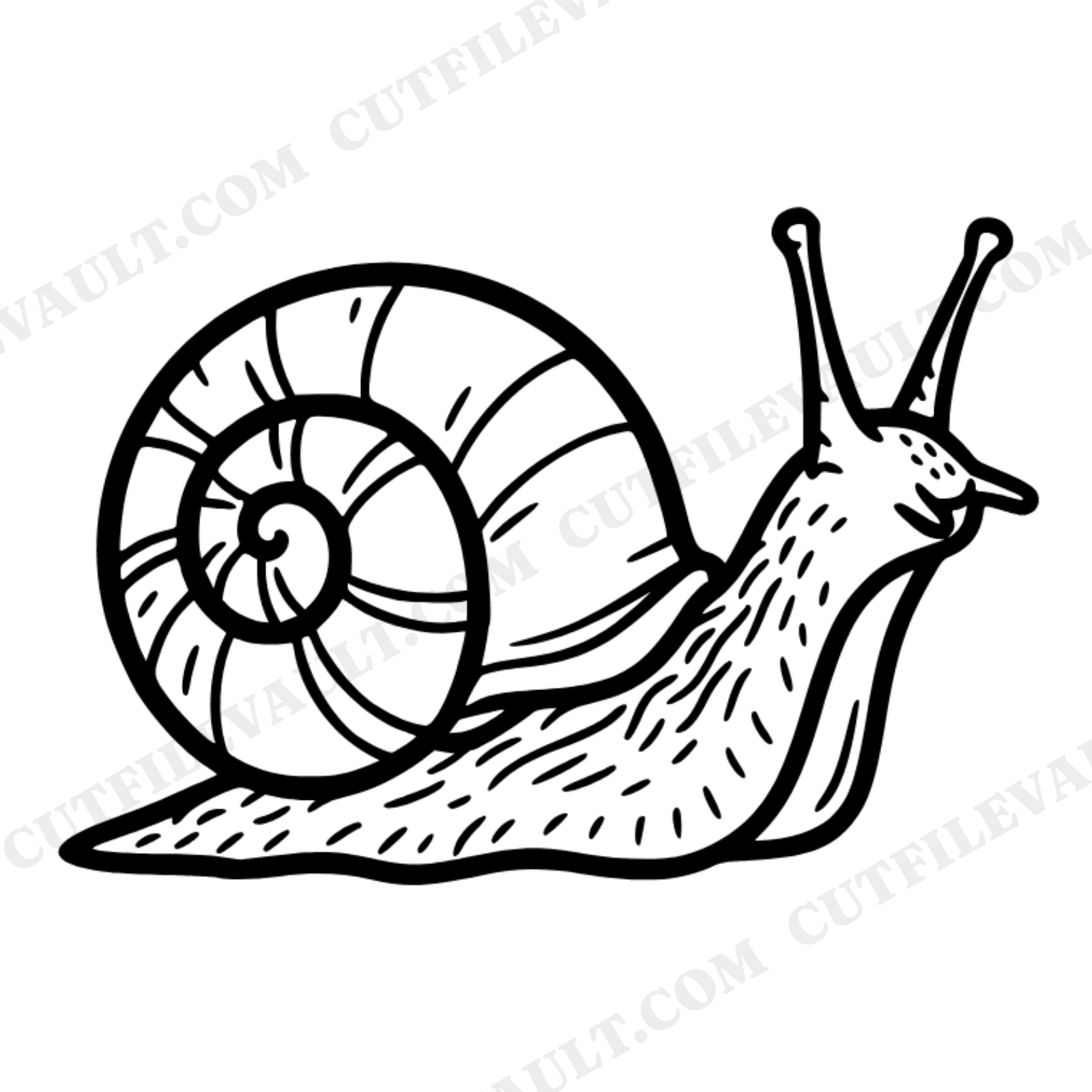 Summer Solstice Garden Snail SVG PNG, Scandinavian Line Art Spiral Shell Cut File for Cricut, view 1