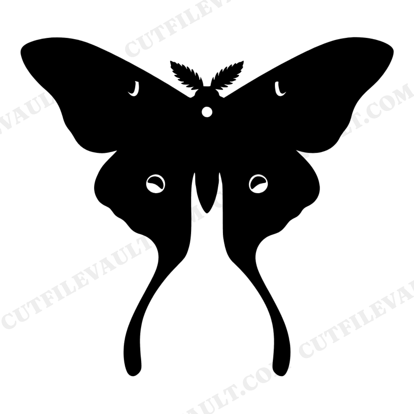 Victorian Luna Moth Specimen SVG PNG, Cottagecore Entomology Display Cut File, Vintage Natural History, view 1