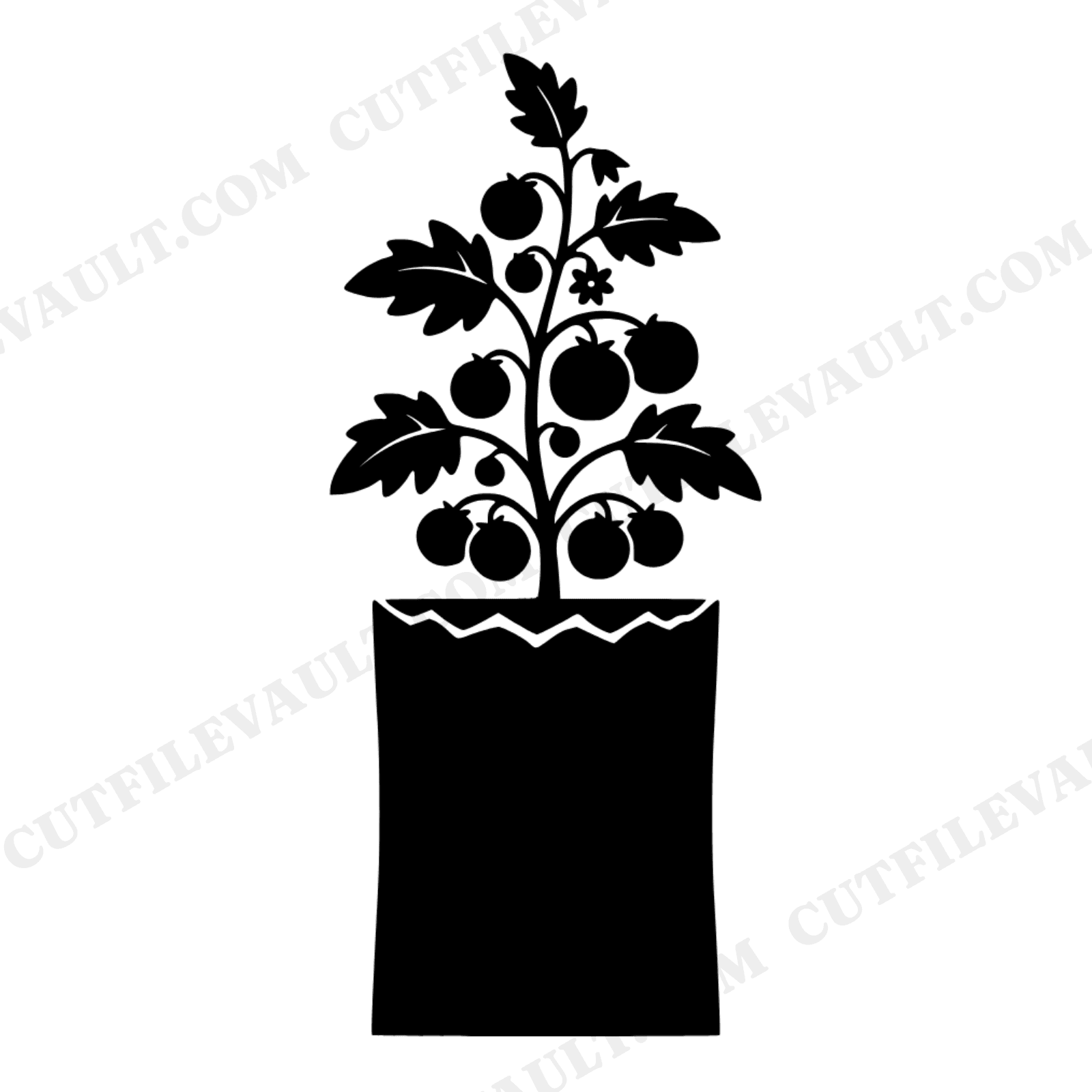Vintage Seed Packet Heirloom Tomato SVG PNG, Retro Herbarium Botanical Plant Cut File Earth Day, view 1
